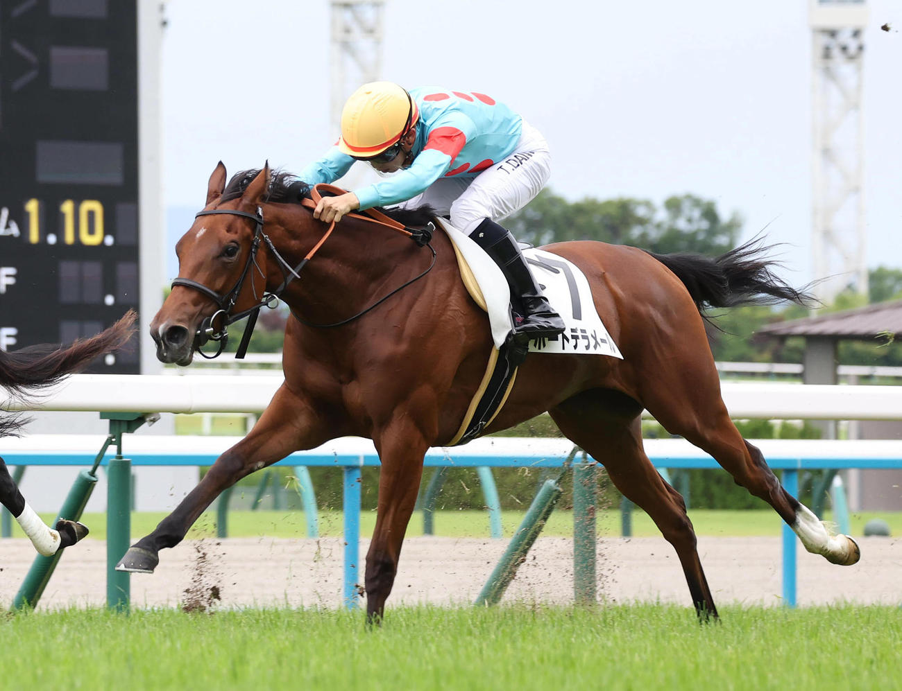 ゴール前差し切って新馬戦を制したポートデラメールと団野騎手（撮影・白石智彦）