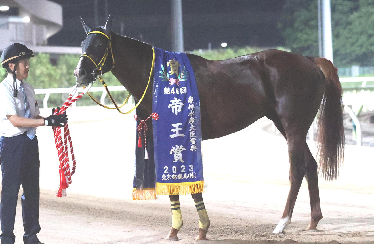 23年帝王賞を制したメイショウハリオ