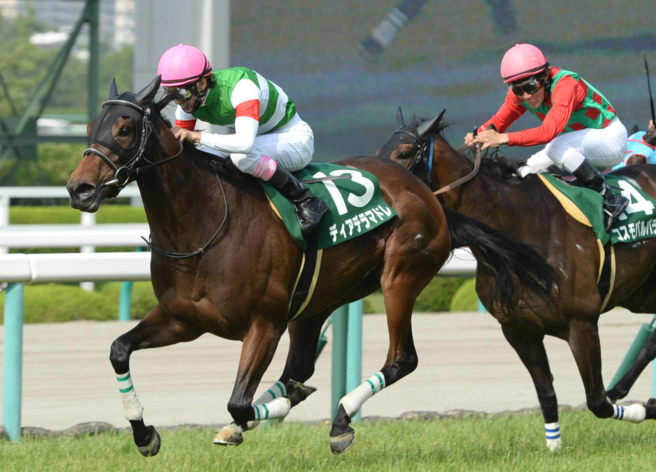14年マーメイドSを制したディアデラマドレと藤岡康太騎手