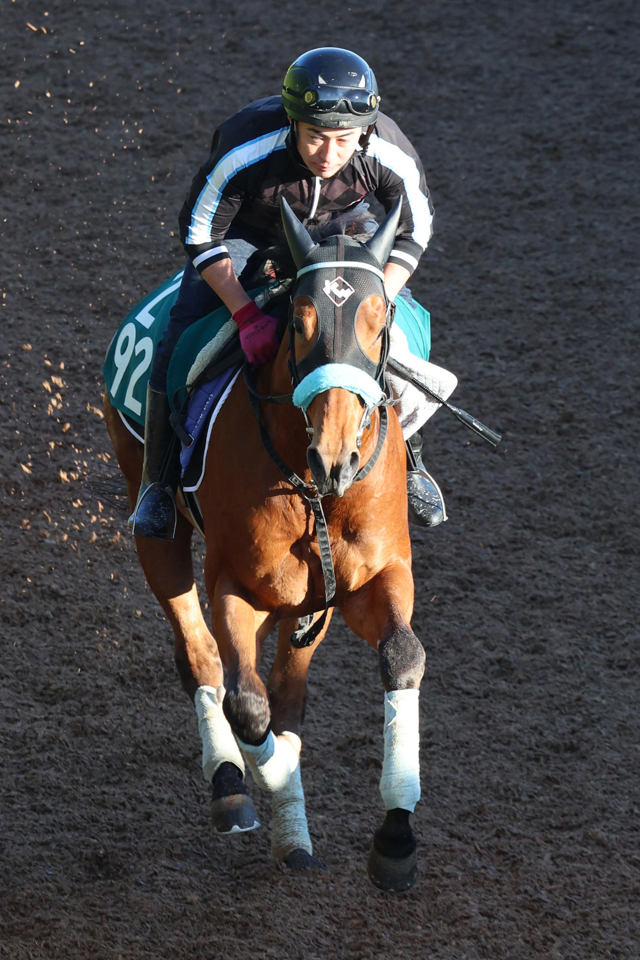 柳田選手所有のゴッドヴァレー（2024年5月14日撮影）