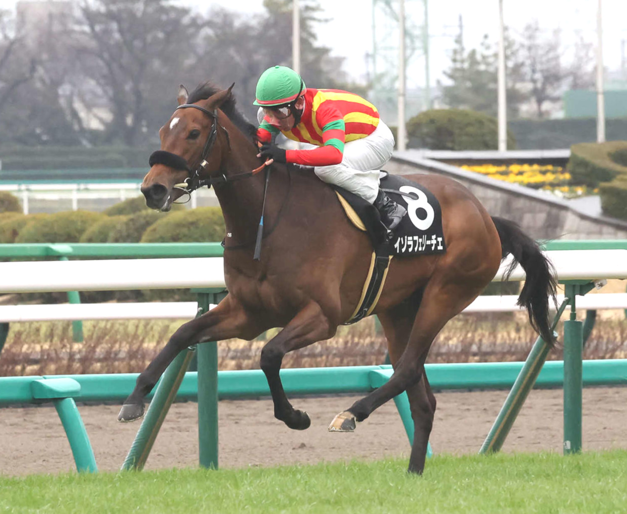 2月25日、デイジー賞を制したイゾラフェリーチェと戸崎騎手