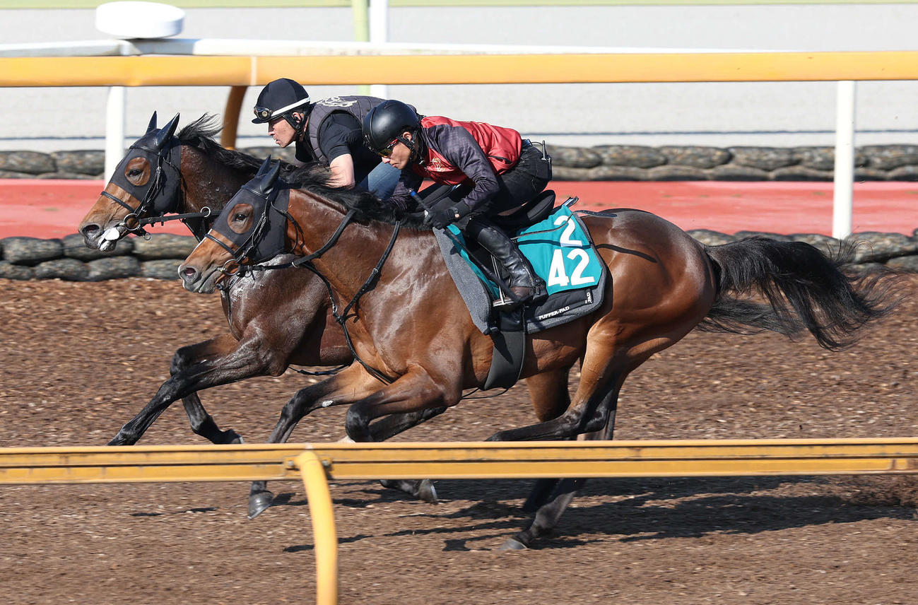 5日、Cウッドで併せ馬で追い切るダノンブランニュー（右）（撮影・白石智彦）