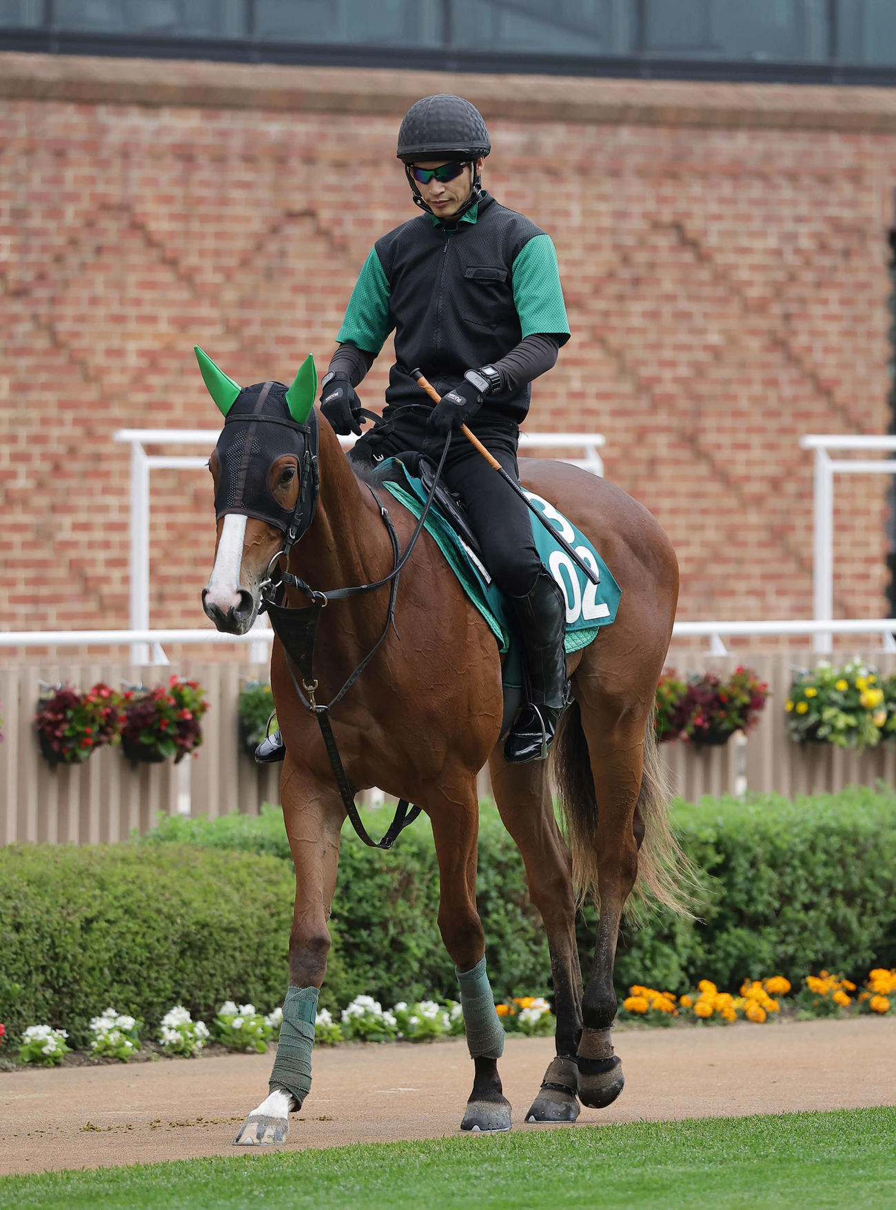 函館競馬場で調整を積むドゥアムール