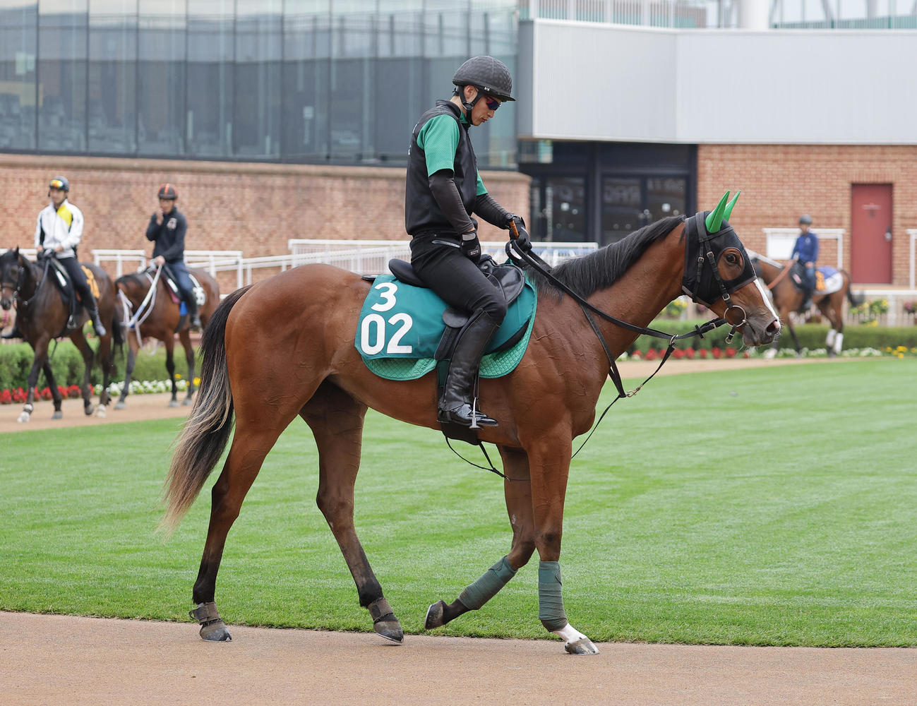 函館競馬場で調整を積むドゥアムール