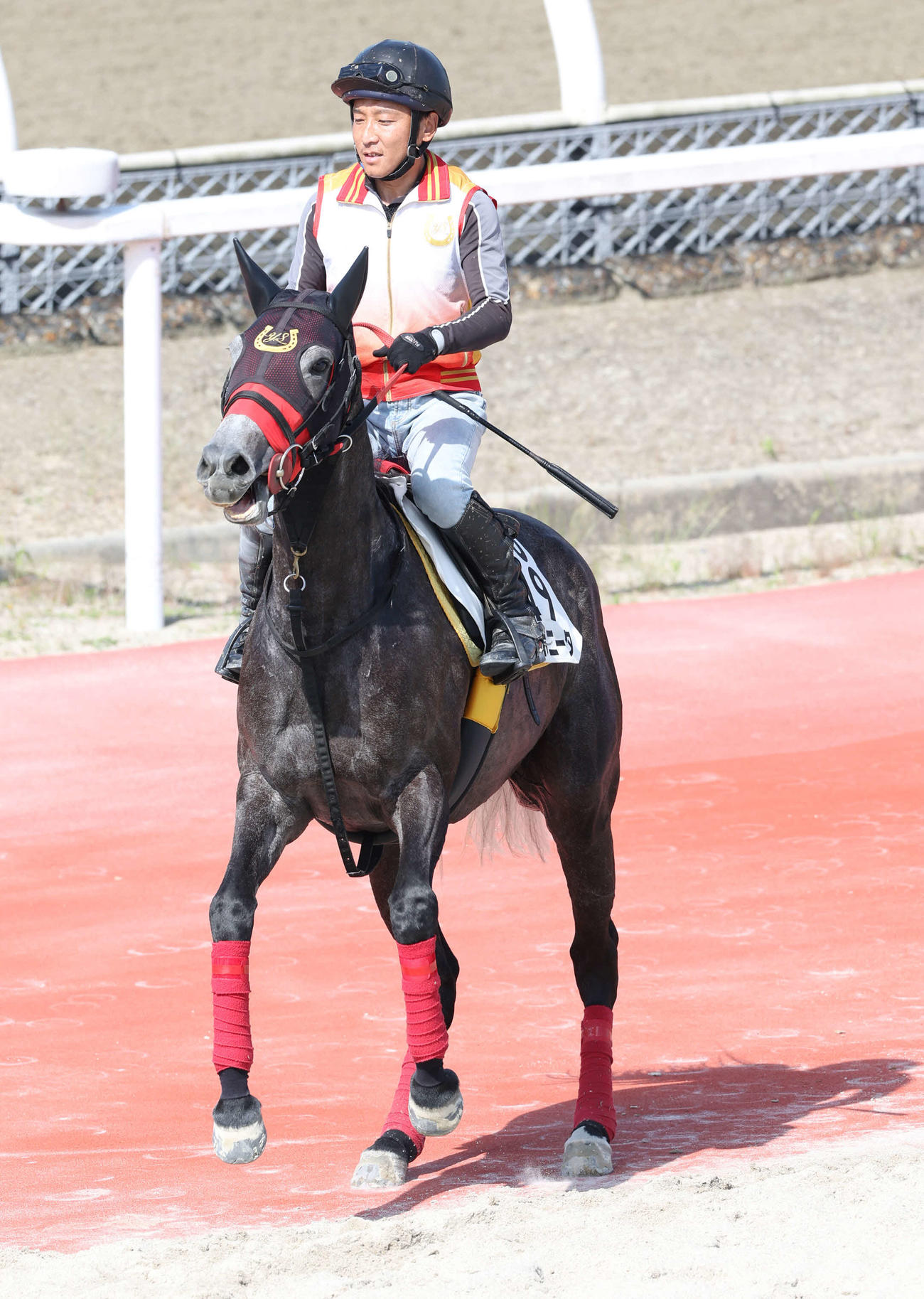 重賞連勝を狙うコスタボニータ