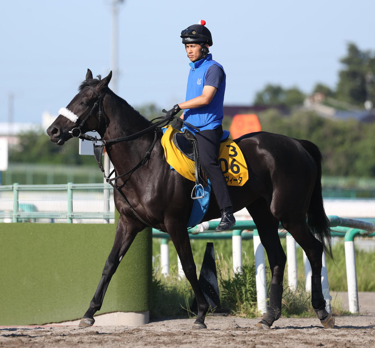 調教に向かうエリカヴィータ（24年6月5日撮影）