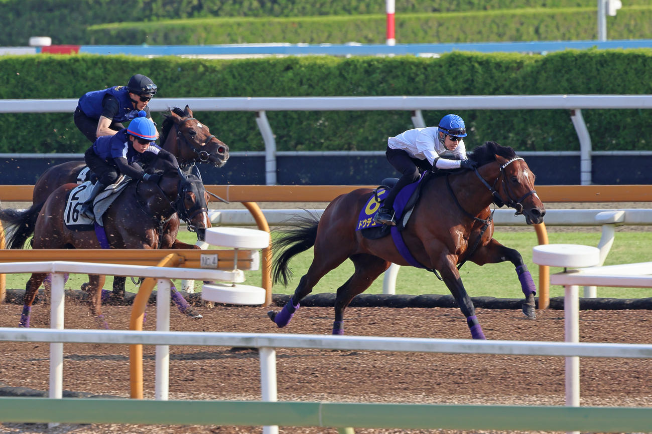 Cウッドで1週前追い切りを行ったドウデュース