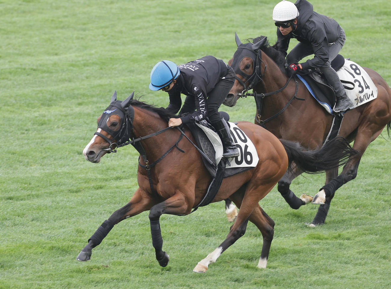 佐々木大輔騎手を背に、函館芝コースで併せ馬で追い切られるスカイロケット（左）