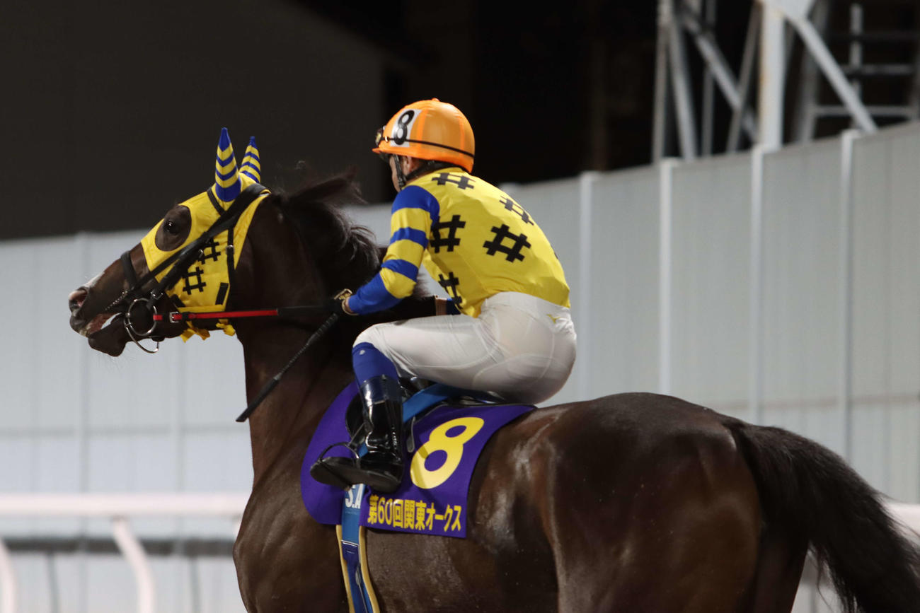 関東オークス（Jpn2）本馬場に入場するグラインドアウトと赤岡修次騎手（2024年6月12日撮影）