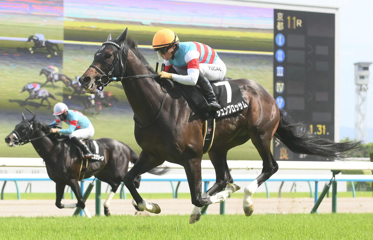 8日、水無月Sを制したジュンブロッサム