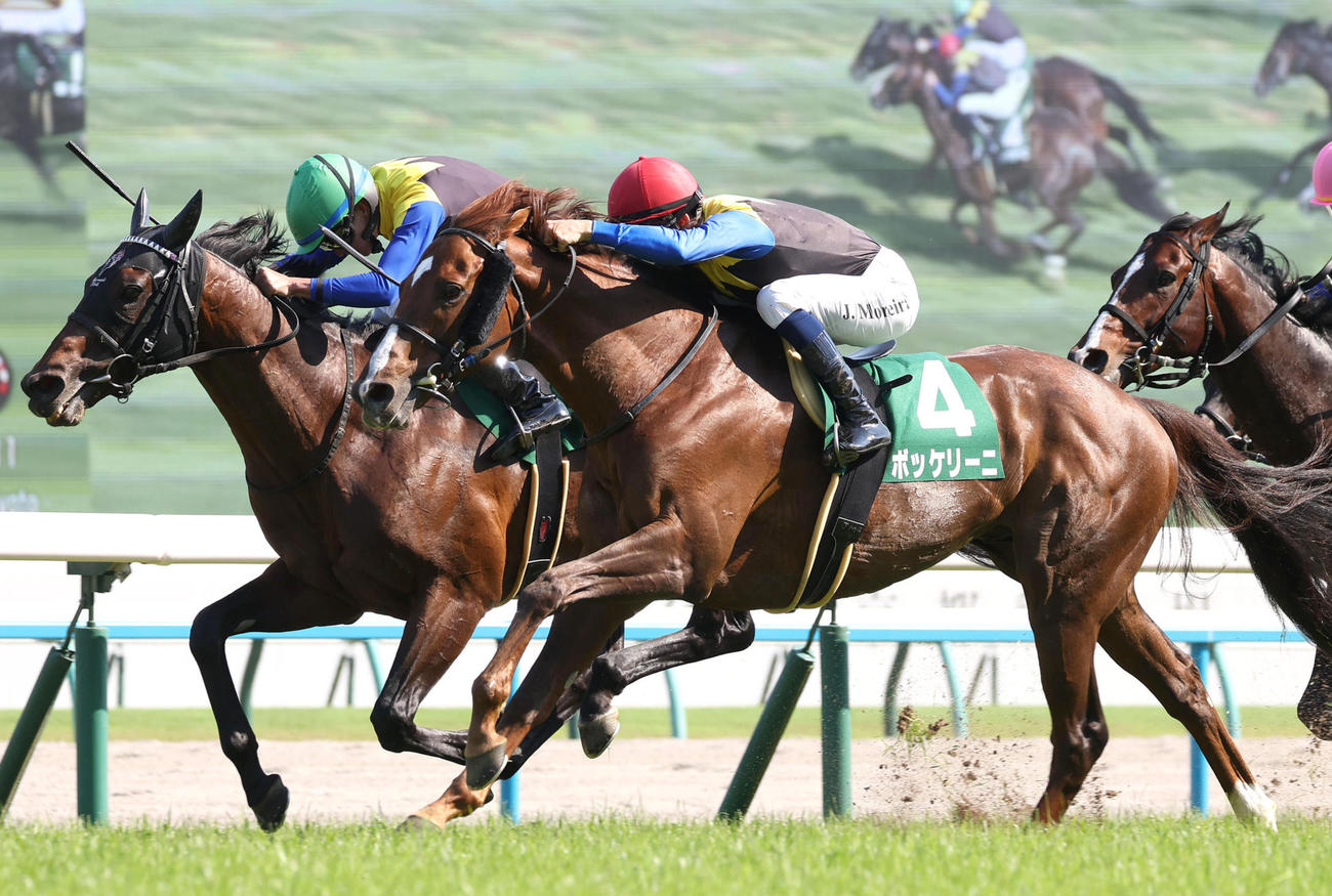 鳴尾記念2着に敗れたボッケリーニ。奥は勝ったヨーホーレイク