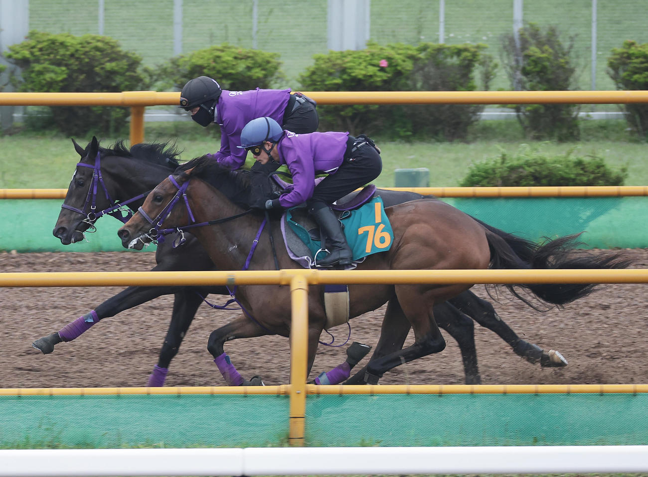 ユリ（手前）は永野騎手を背にウッドチップコースを併せ馬で追い切る