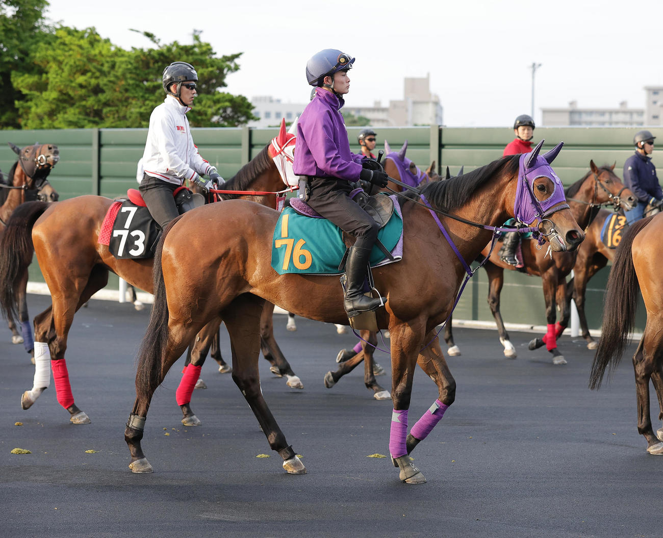 函館競馬場で調整を積むユリ