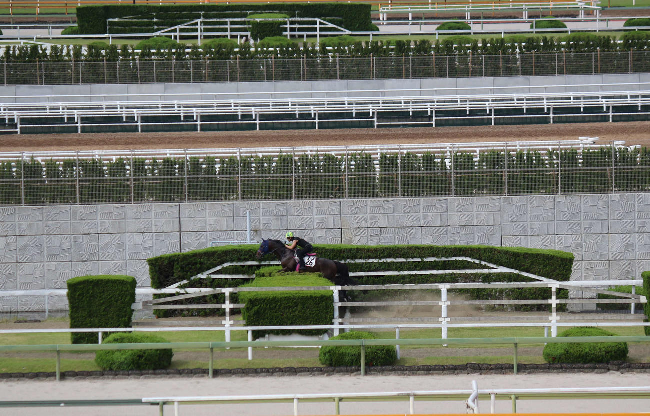 13日朝、栗東で障害試験に騎乗する小野寺騎手（撮影・木南友輔）