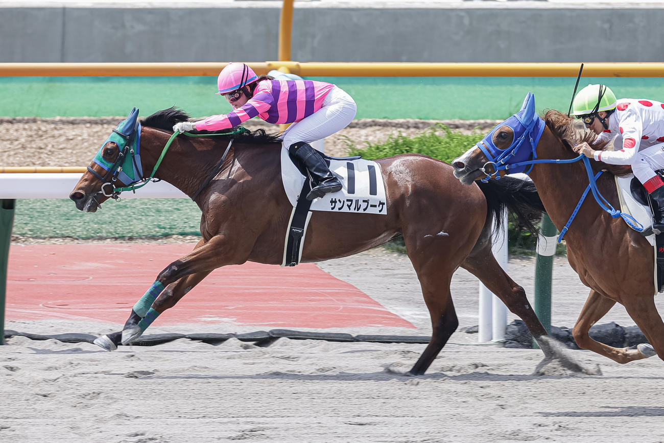 函館3Rを制したサンマルブーケと藤田騎手（撮影・村野早祐）