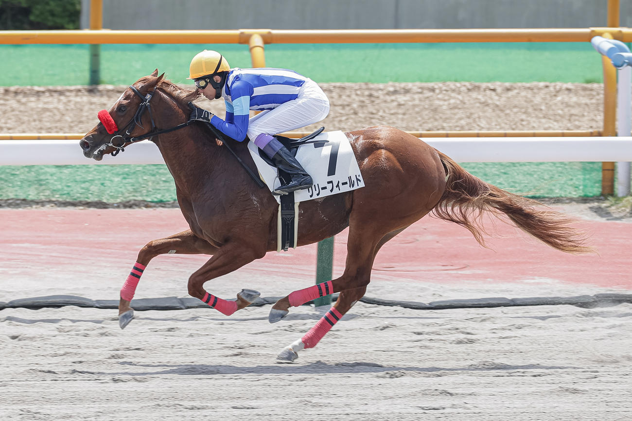 函館6R2歳新馬、デビュー戦を制したリリーフィールドと武豊騎手（撮影・村野早祐）