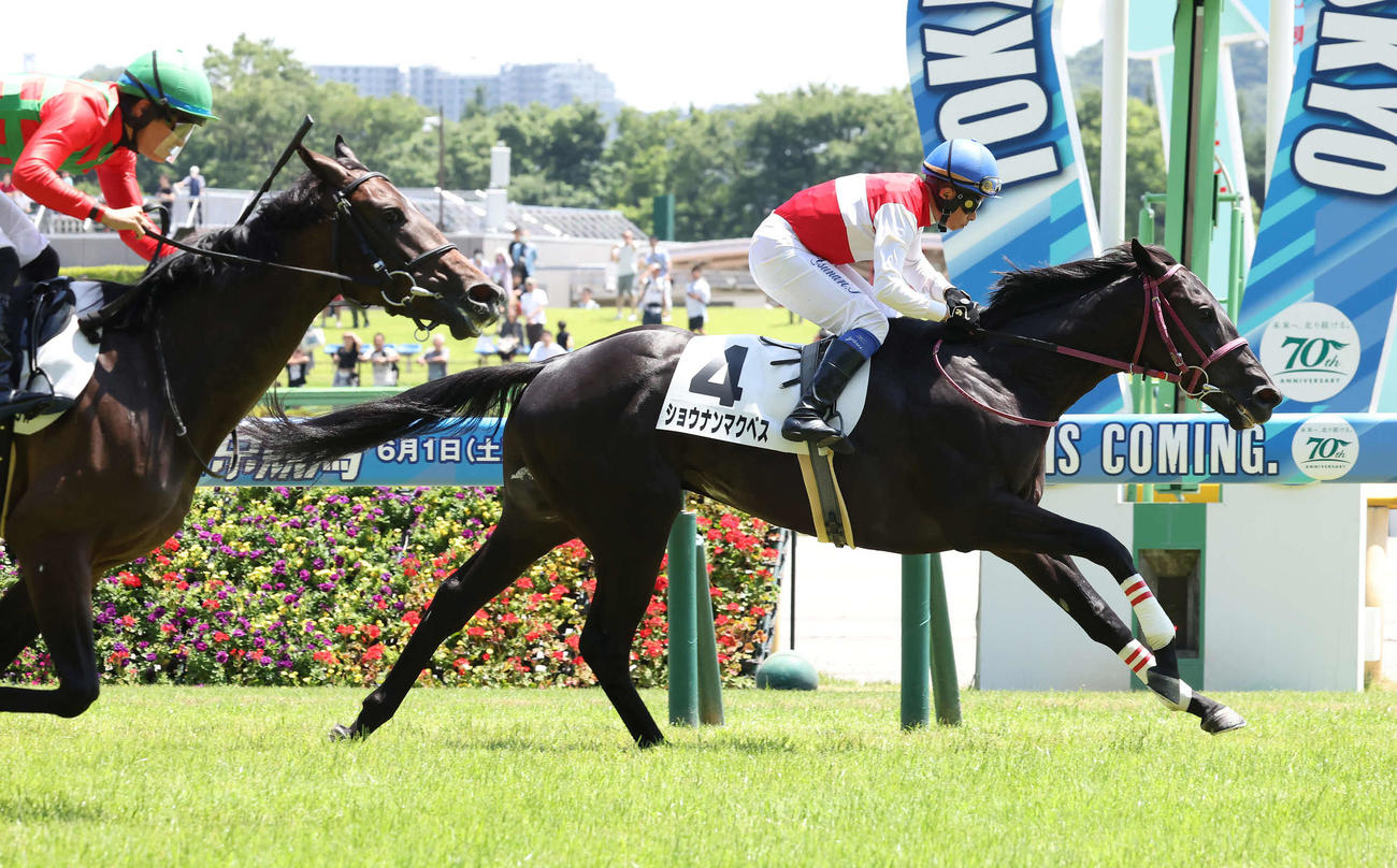 東京5R、2歳新馬戦を制したショウナンマクベスと岩田康騎手（撮影・丹羽敏通）