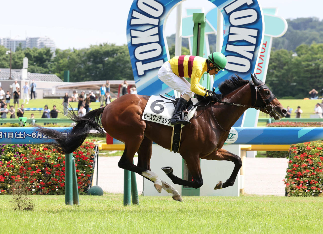 東京8R、3歳上1勝クラスを逃げ切ったピースワンデュックと柴田善騎手（撮影・丹羽敏通）
