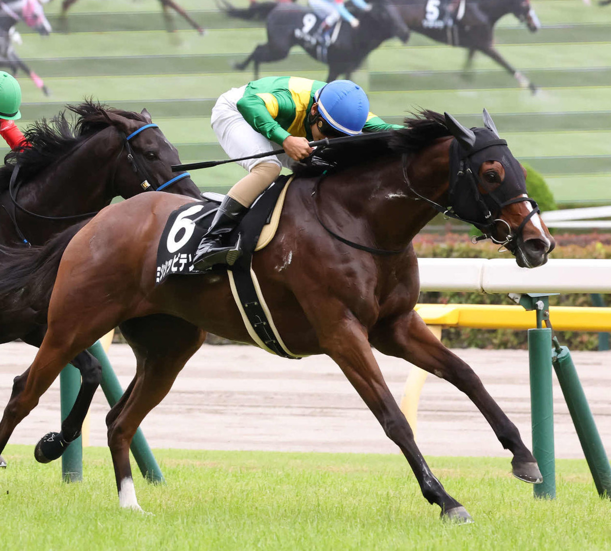 多摩川Sを制したミシシッピテソーロ（撮影・丹羽敏通）
