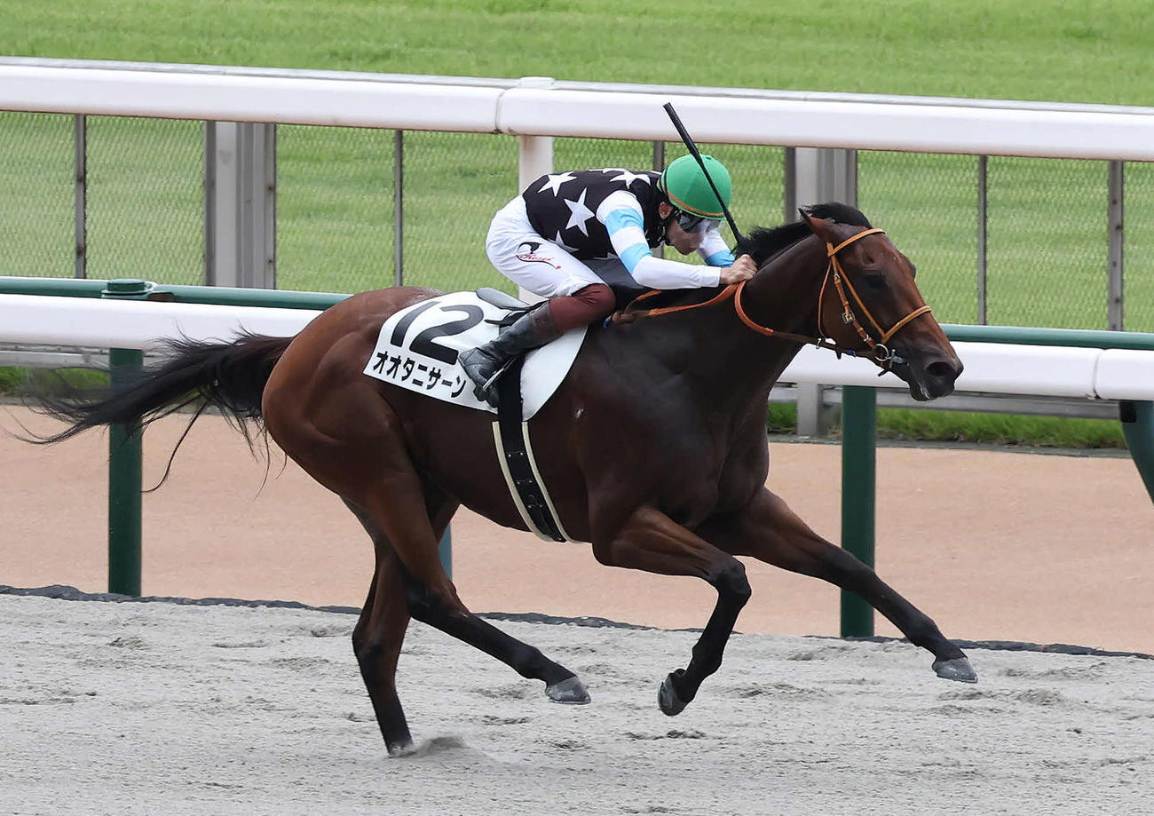 東京3R、3歳未勝利戦を制したオオタニサーンと三浦騎手（撮影・丹羽敏通）