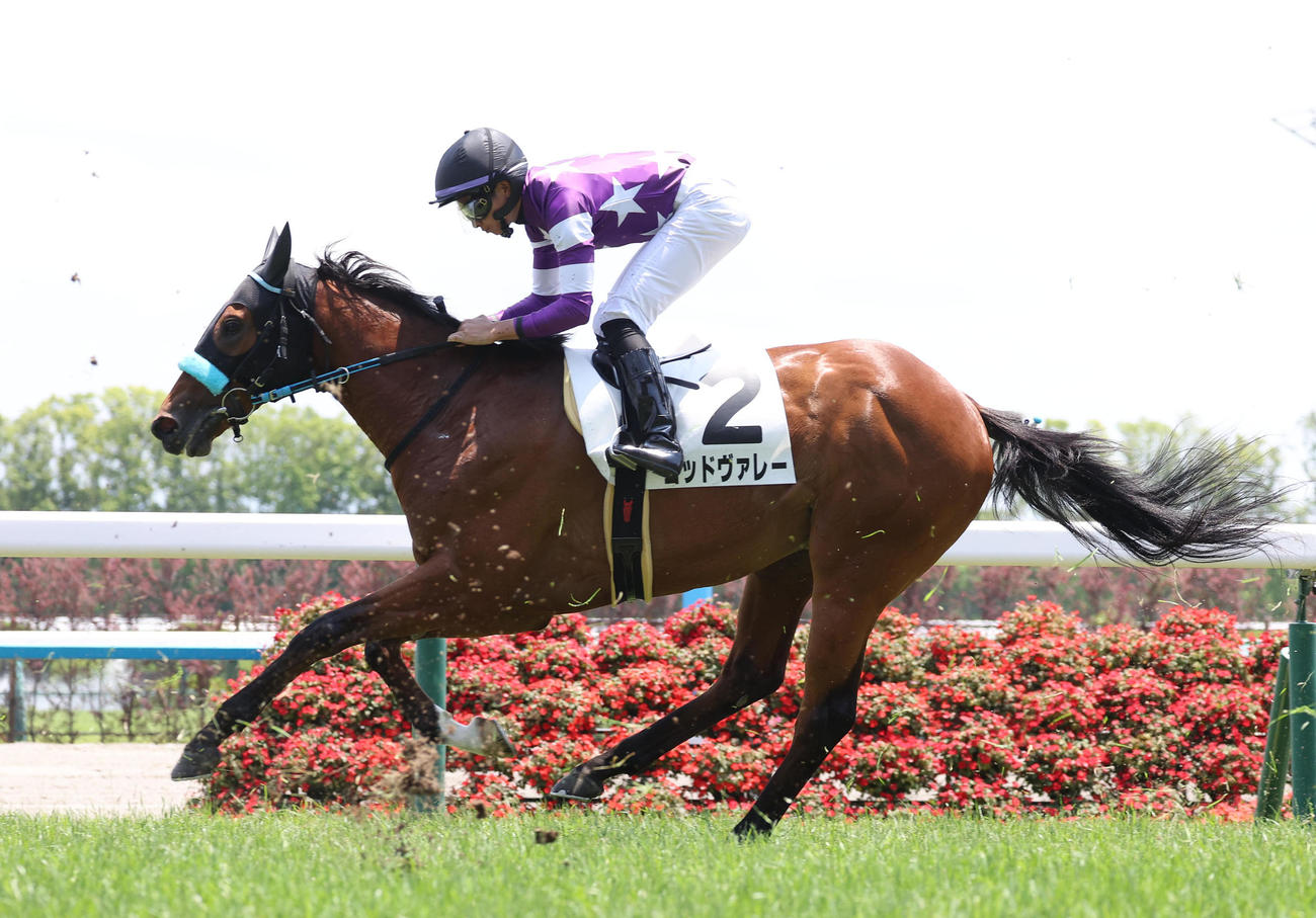 京都5R新馬戦、3着に敗れたゴッドヴァレー（撮影・白石智彦）
