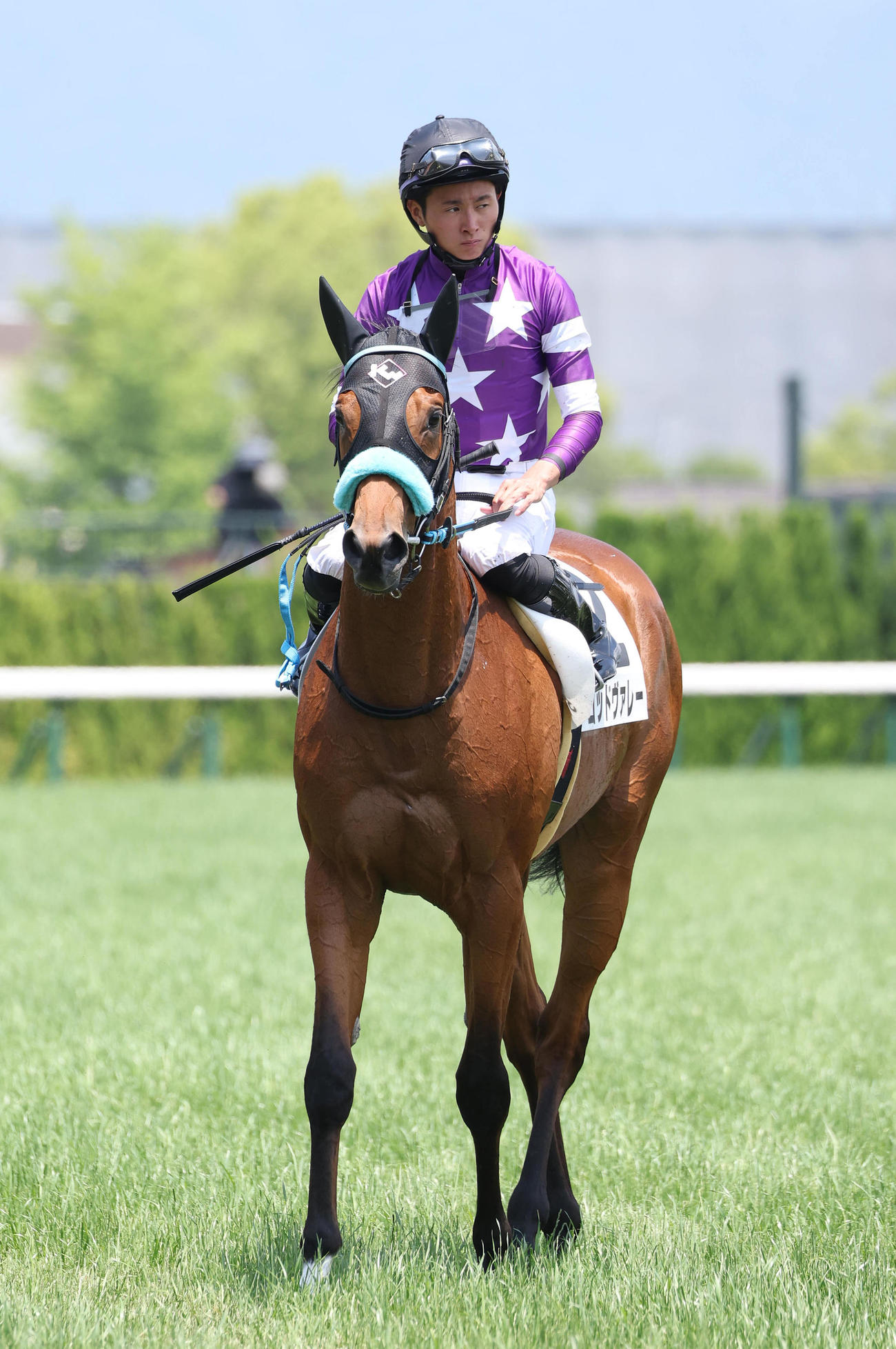 京都5R新馬戦、3着に敗れて引き揚げるゴッドヴァレー（撮影・白石智彦）