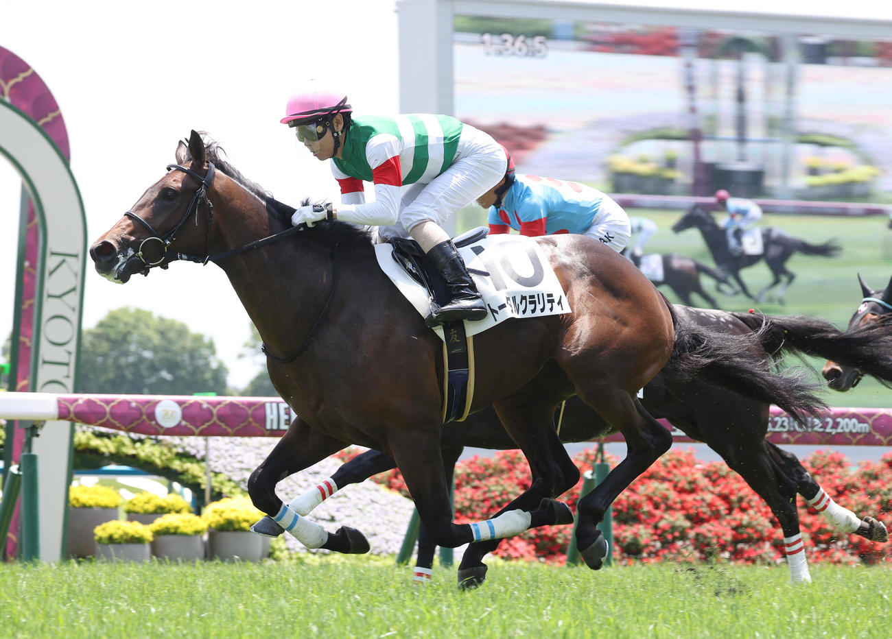 京都5R、ラトラースを差し切って新馬戦を制したトータルクラリティ（撮影・白石智彦）