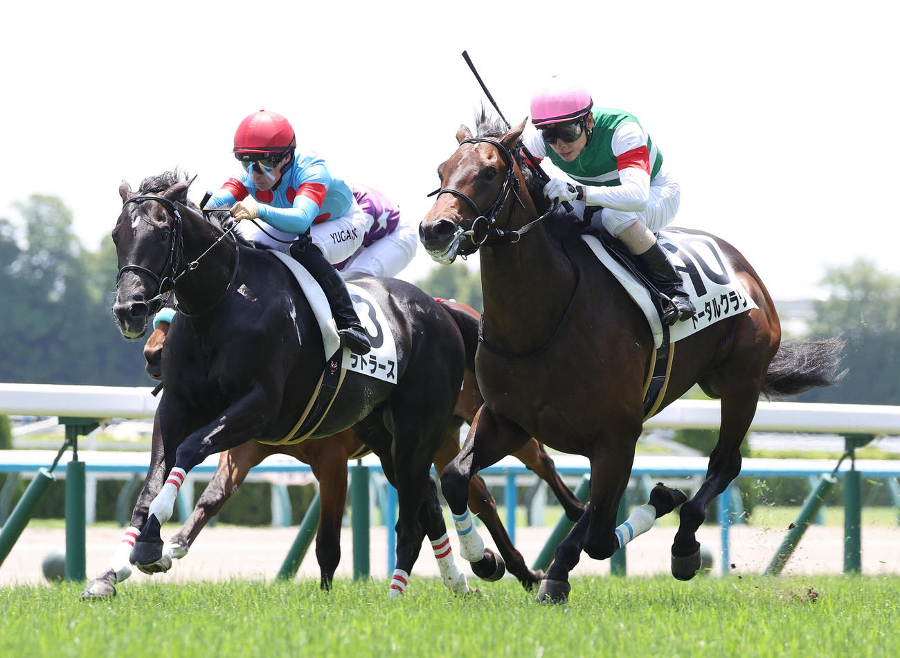京都5R、ラトラース（左）を差し切って新馬戦を制したトータルクラリティ（撮影・白石智彦）