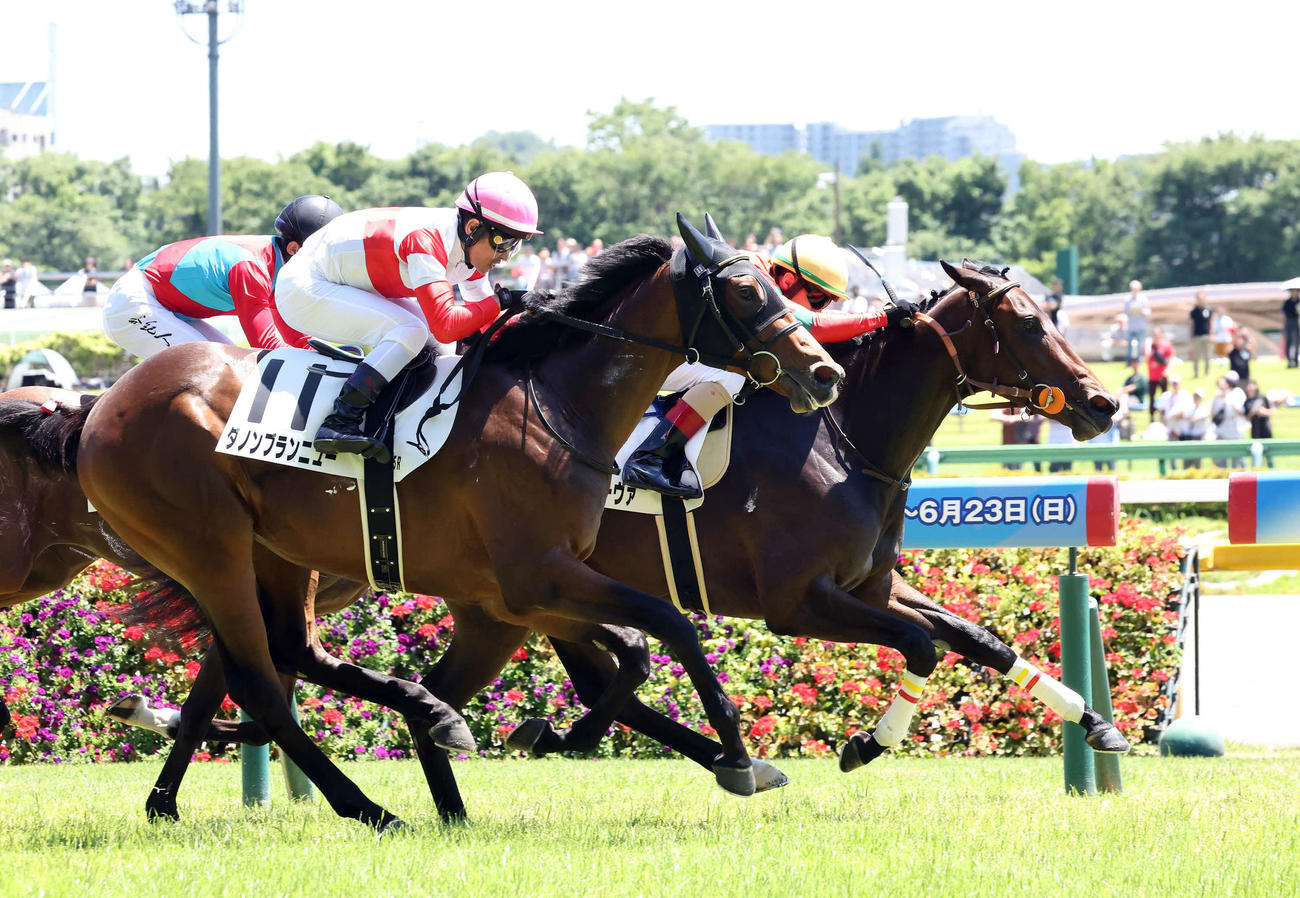 2着に敗れたダノンブランニュー（手前）。奥は勝ったプリティディーヴァ（撮影・丹羽敏通）