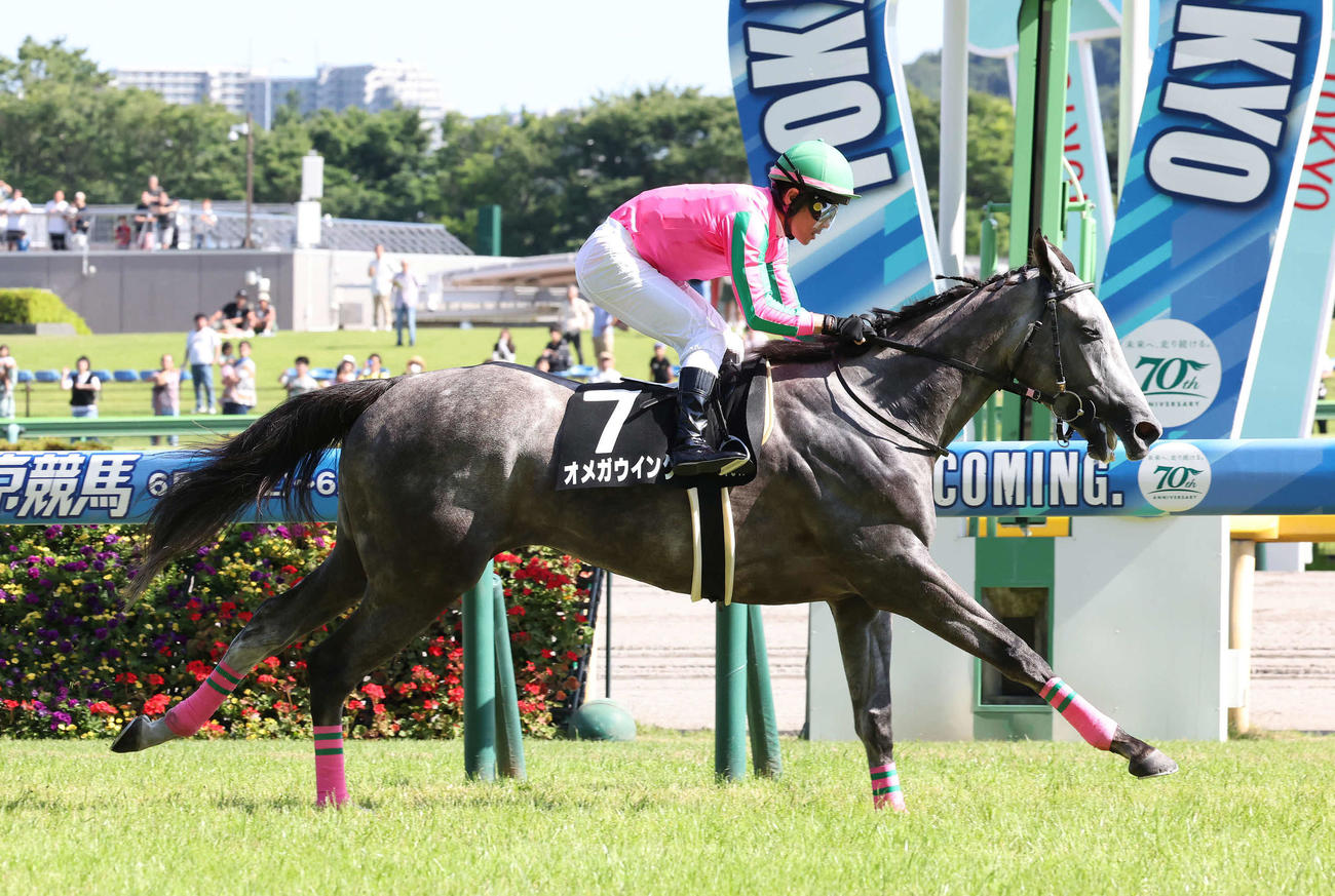 東京10R、相模湖特別を制したオメガウインクと戸崎騎手（撮影・丹羽敏通）