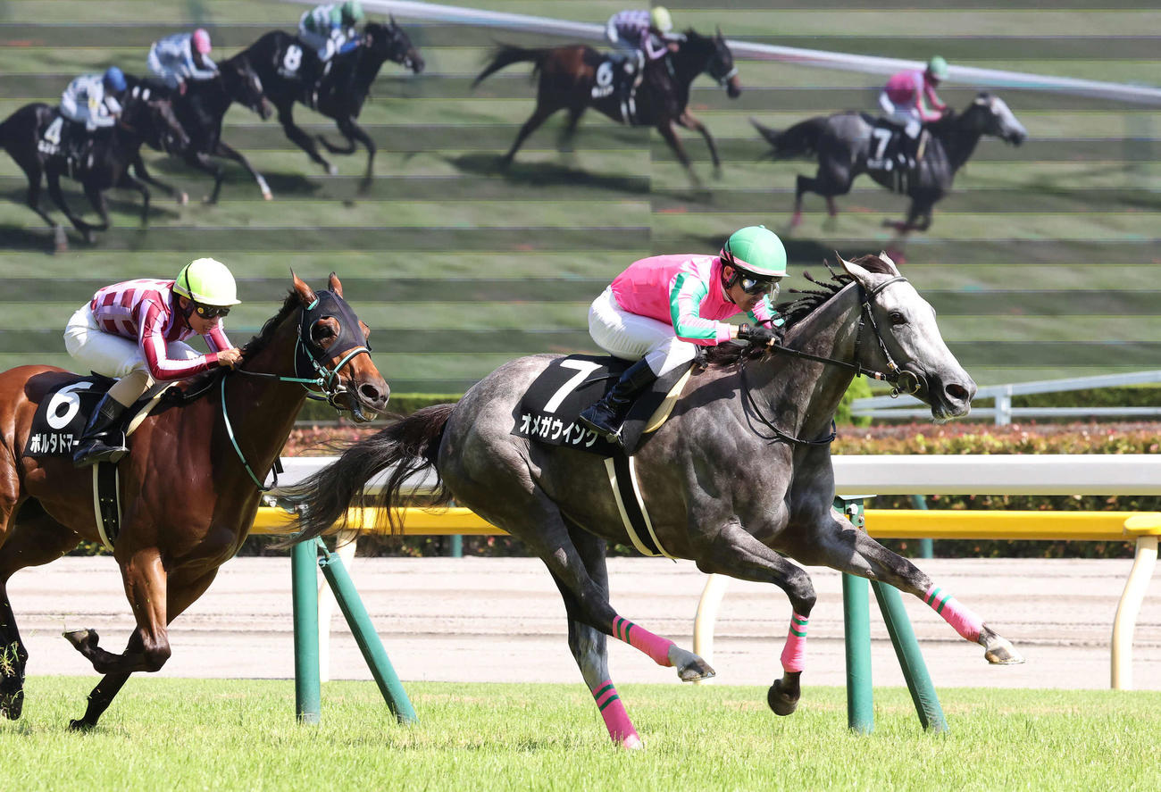 東京10R、相模湖特別を制したオメガウインクと戸崎騎手（撮影・丹羽敏通）