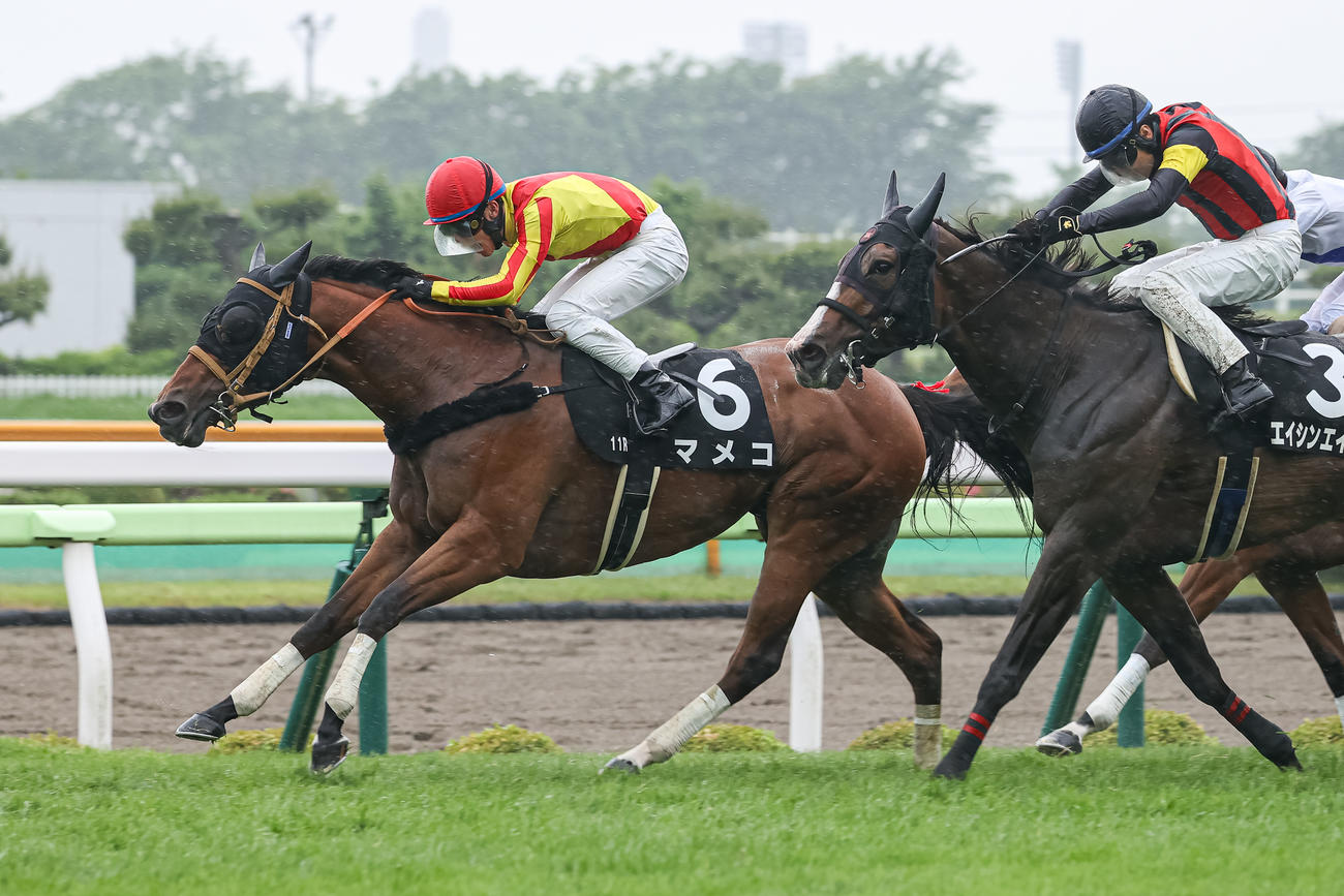 UHB杯を制したマメコと永野騎手（撮影・村野早祐）