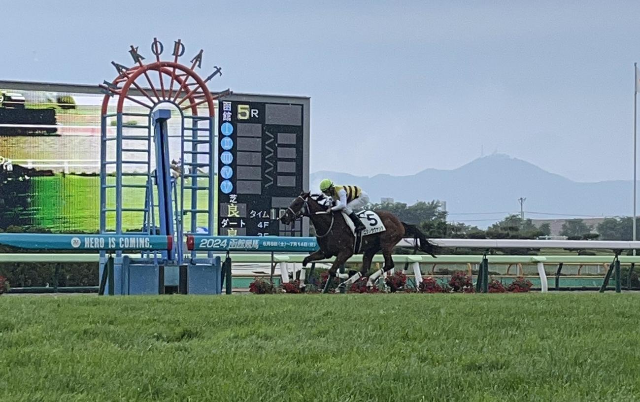函館5Rの新馬戦を制したニシノラヴァンダと永野猛蔵騎手