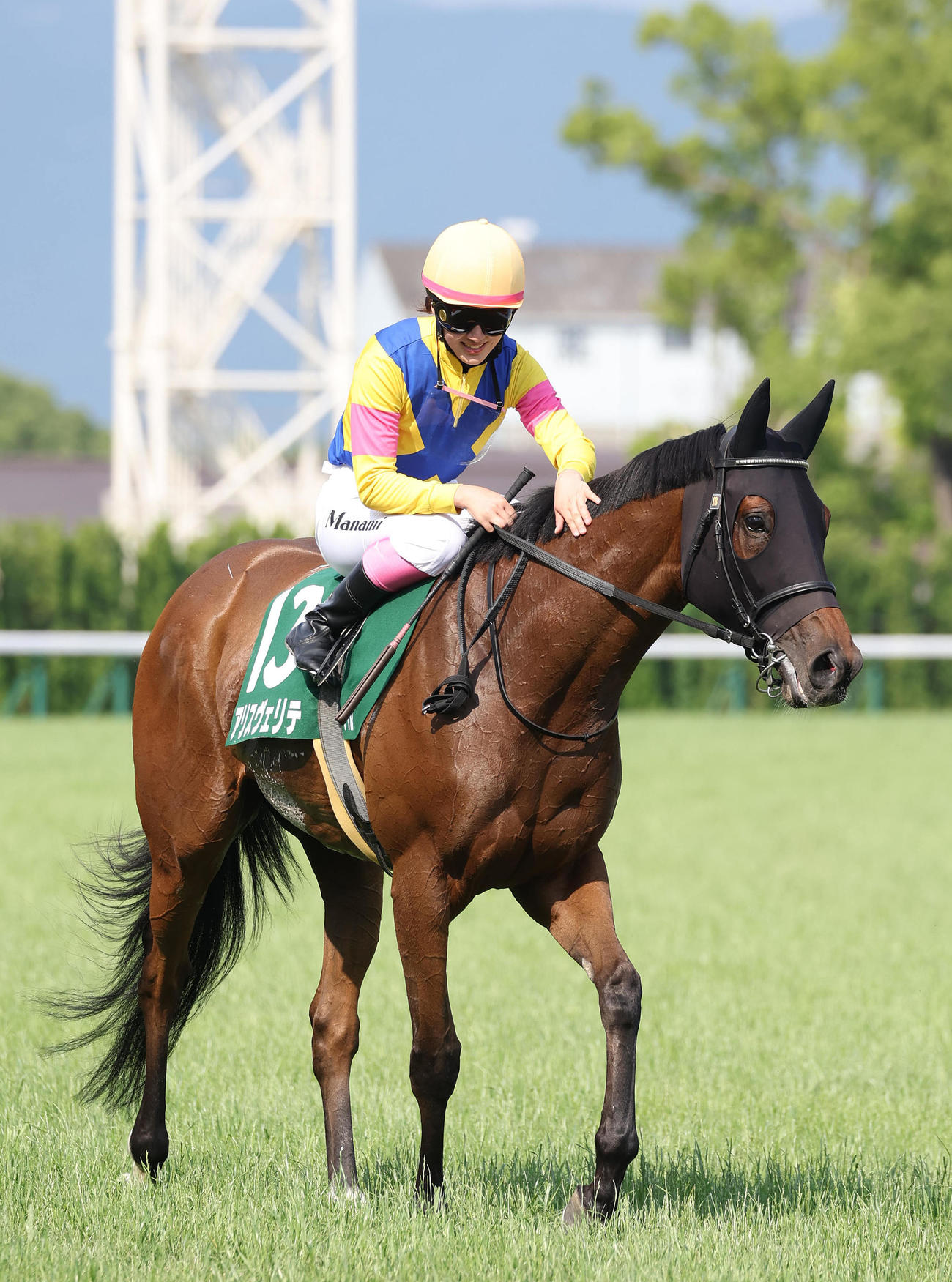 マーメイドSを制したアリスヴェリテの首筋をなでてねぎらう永島騎手（撮影・白石智彦）