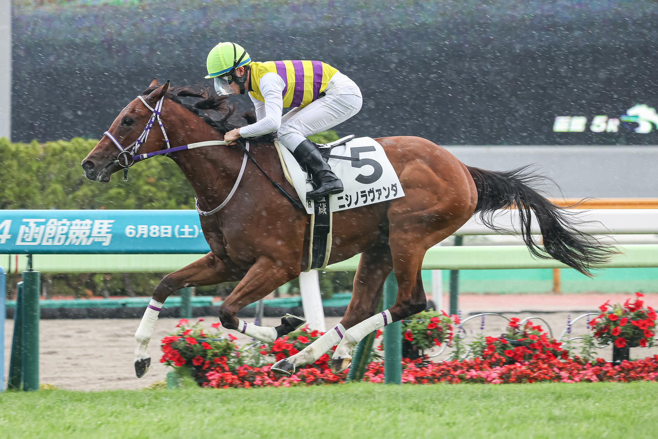 函館5R、デビュー戦を制したニシノラヴァンダと永野騎手（撮影・村野早祐）
