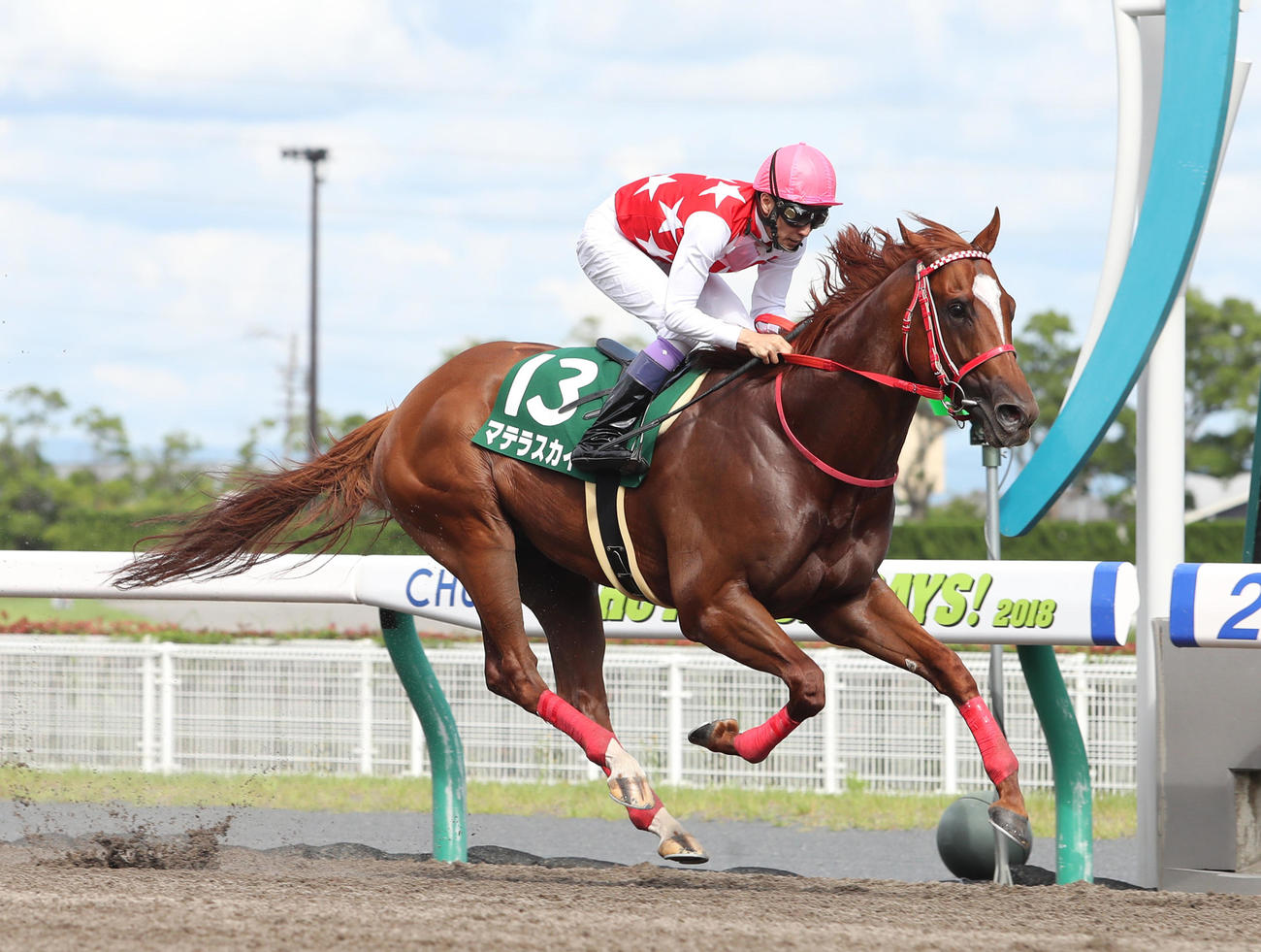 18年7月プロキオンS　レコードタイムで4馬身差の逃げ切りを見せたマテラスカイ、鞍上は武豊