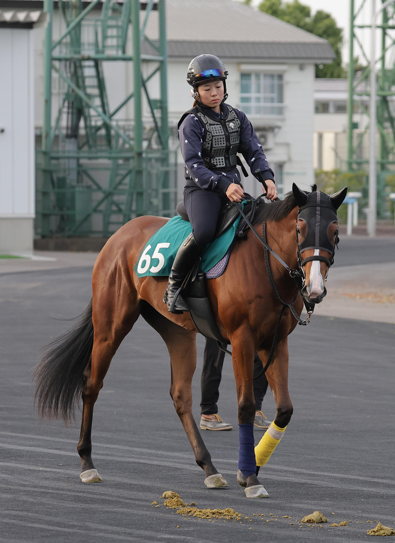 函館競馬場で調整を積むカルプスペルシュ