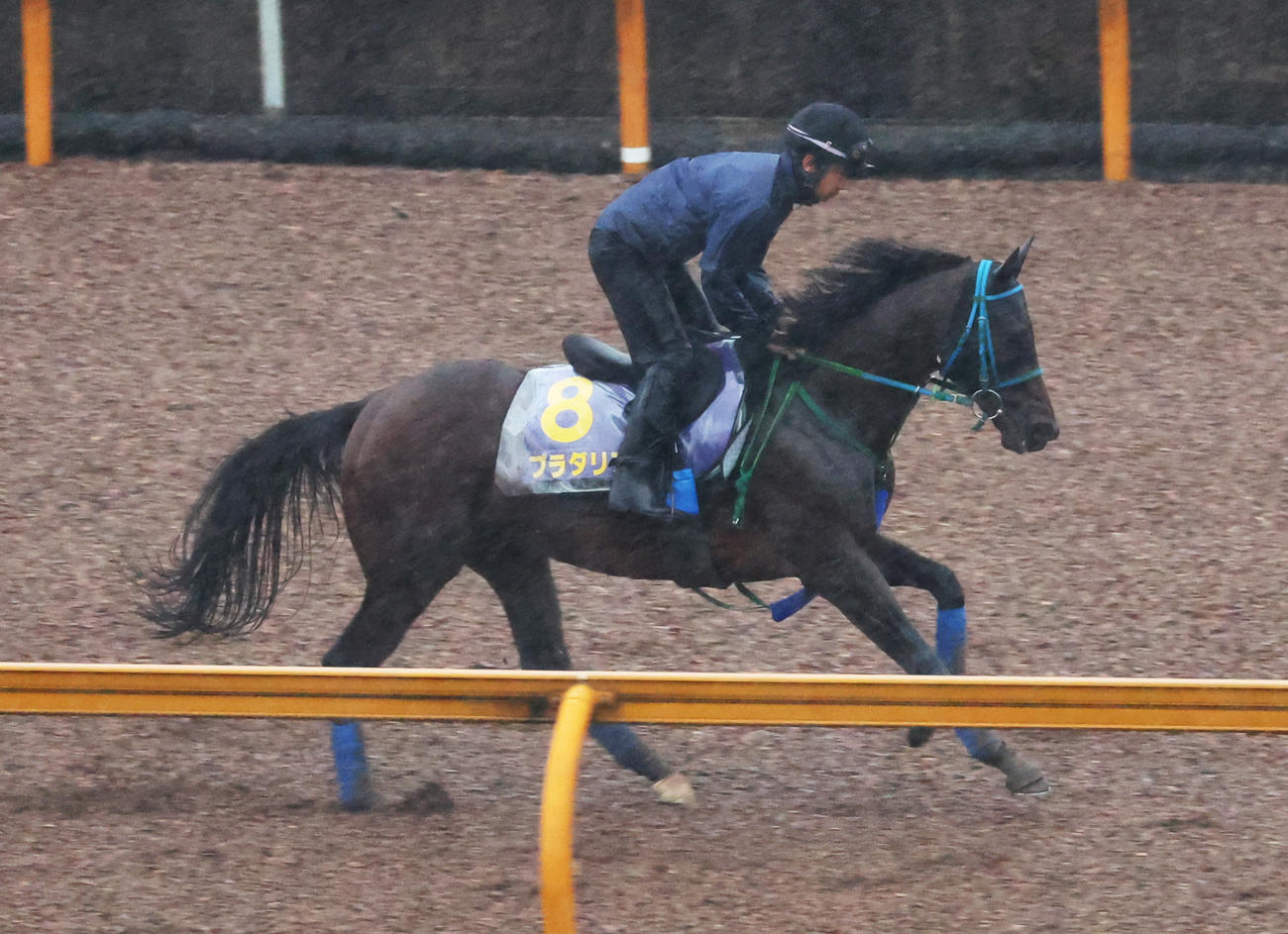 CWコースで調整するプラダリア