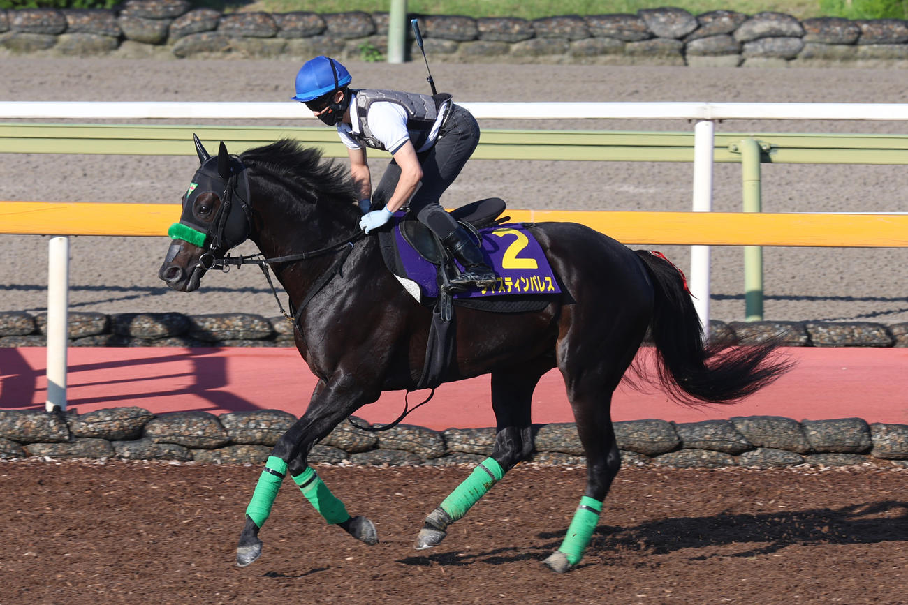 馬場入りするジャスティンパレス