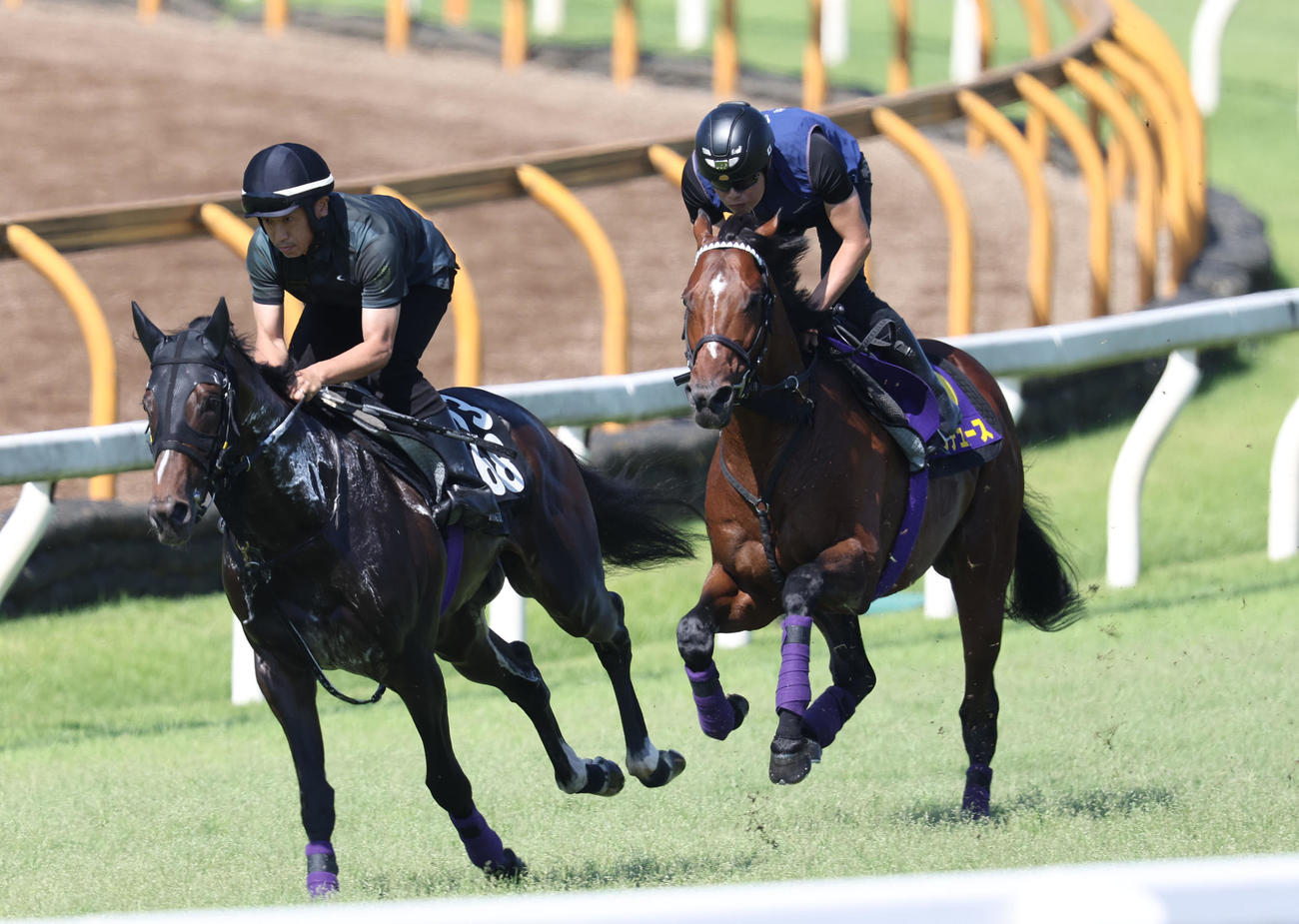 芝コースをカルデア（左）と併せ馬で追い切るドウデュース（撮影・白石智彦）