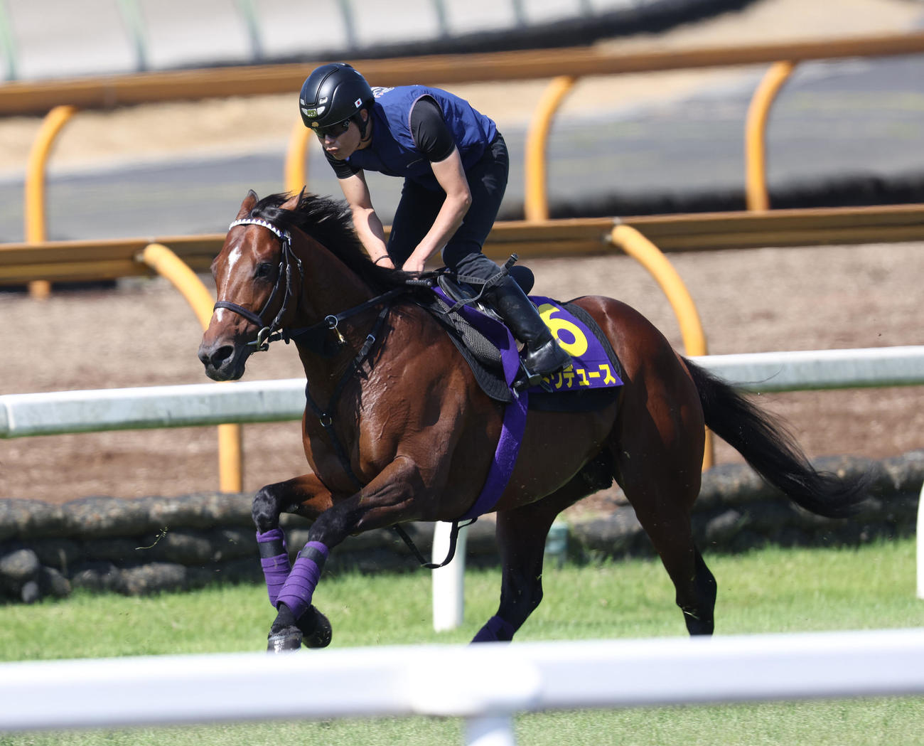 芝コースで追い切りを行ったドウデュース（撮影・白石智彦）