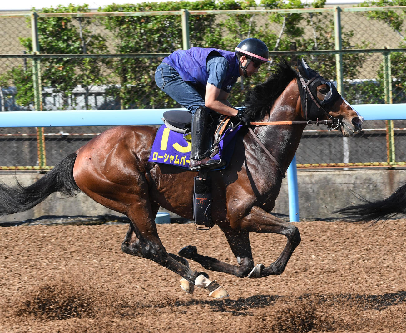 併せ馬で追い切られたローシャムパーク（撮影・柴田隆二）