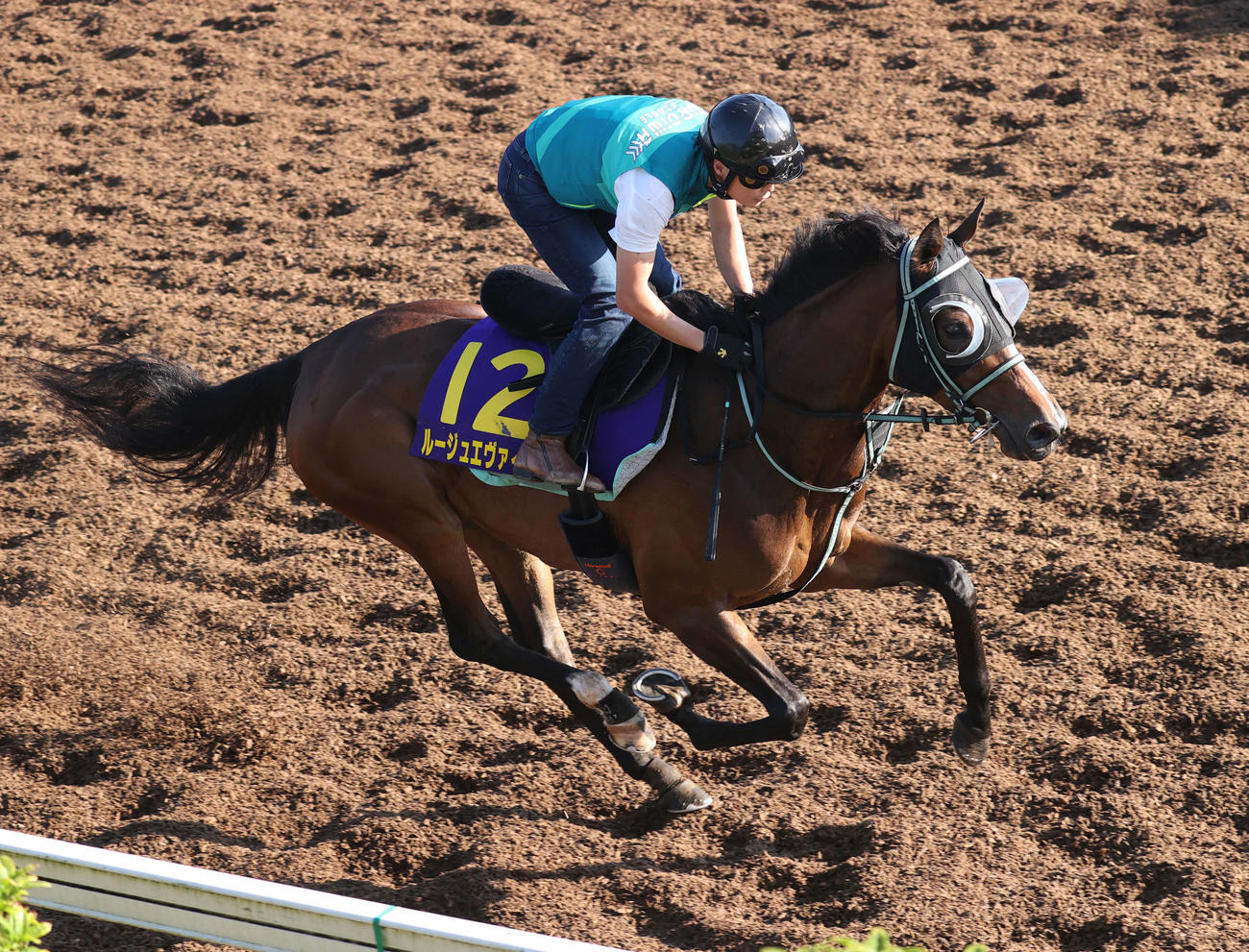 併せ馬で追い切られたルージュエヴァイユ（撮影・柴田隆二）