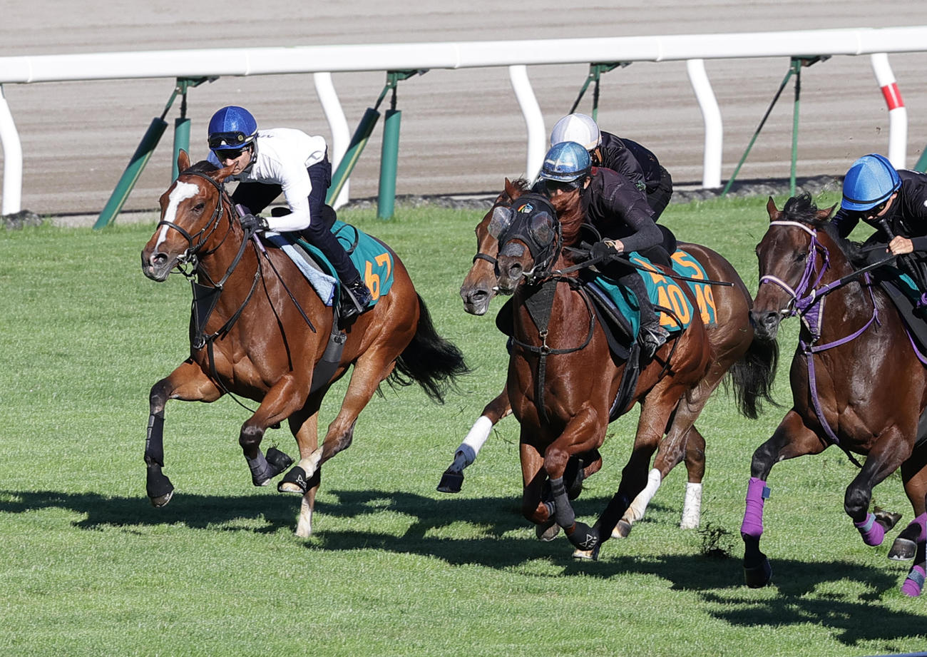 武豊騎手を背に函館芝コースで併せ馬で追い切られるラパンチュール（左端）