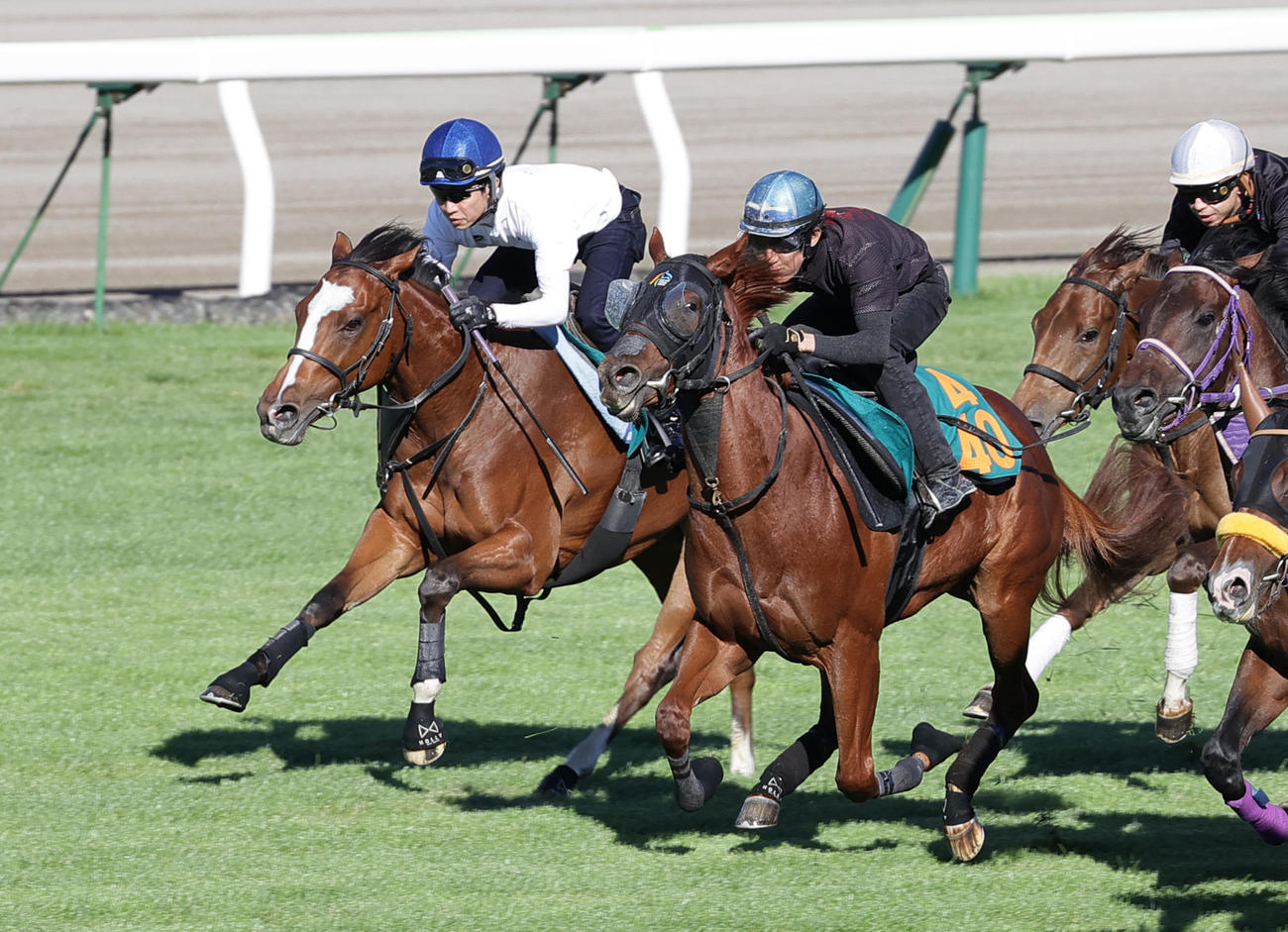 武豊騎手を背に函館芝コースで併せ馬で追い切られるラパンチュール（左端）