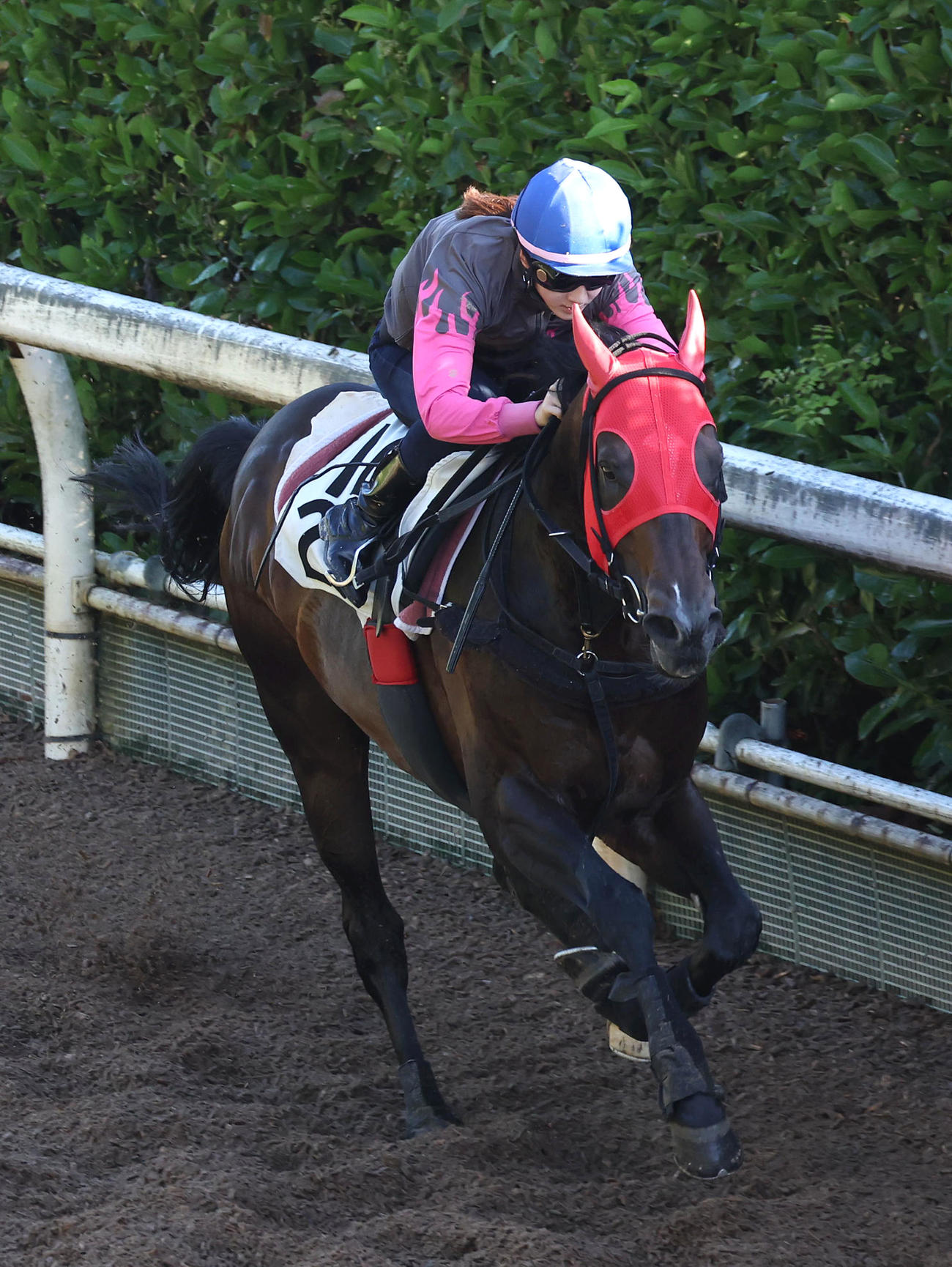 永島騎手を背に坂路を単走で追い切るトゥラヴェスーラ（撮影・白石智彦）