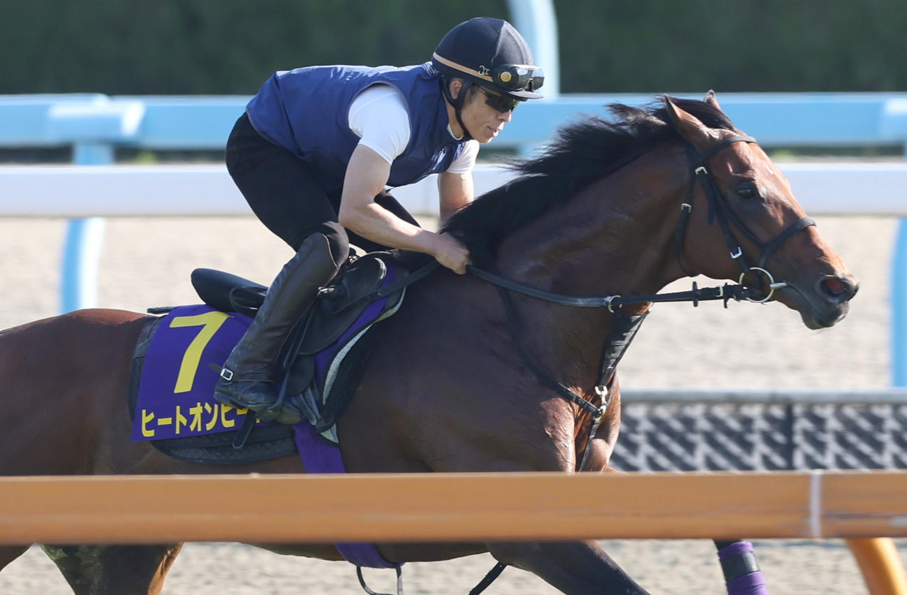 芝コースで追い切るヒートオンビート