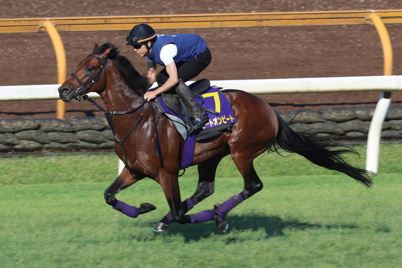 芝コース単走で仕上げられたヒートオンビート