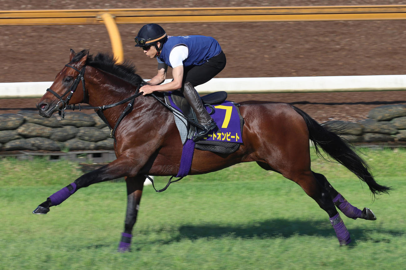 芝コース単走で仕上げられたヒートオンビート