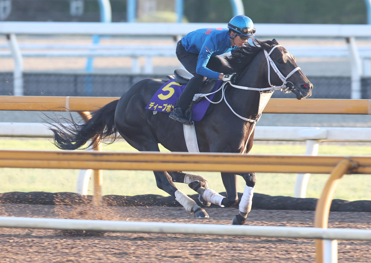 CWコースで追い切るディープボンド
